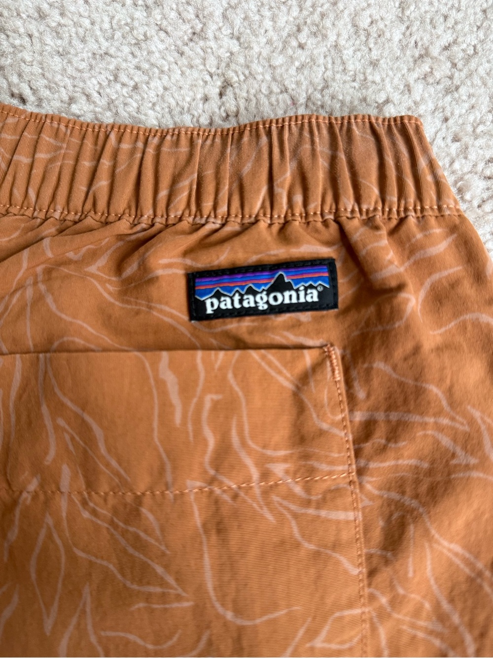 Patagonia Everyday Nylon Pants